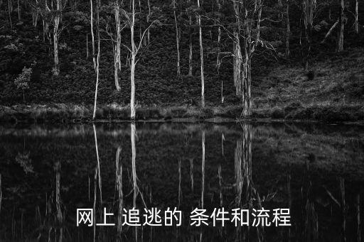  網上 追逃的 條件和流程
