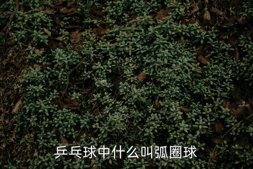 弧圈球，什么是弧圈球