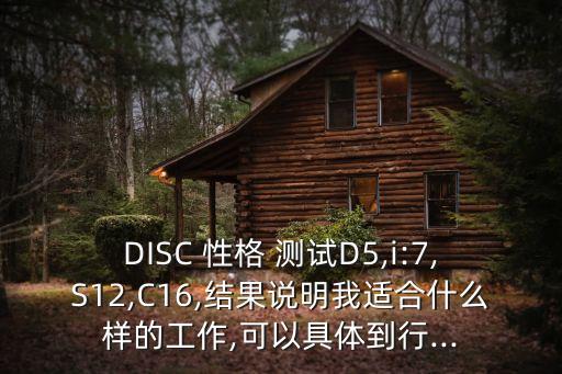 disc性格測試結果分析
