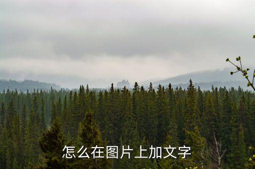 怎么在圖片上加文字