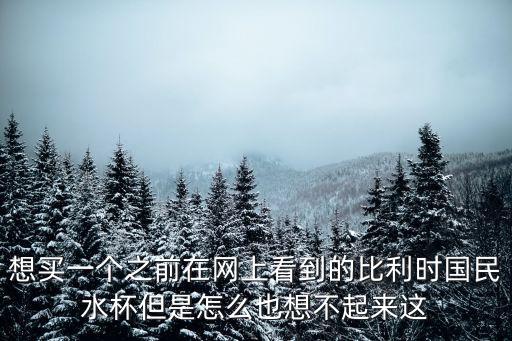 想買一個之前在網上看到的比利時國民水杯但是怎么也想不起來這