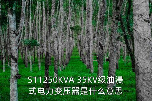 S11250KVA 35KV級油浸式電力變壓器是什么意思