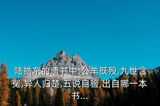陸皓東,新加坡國旗之青天白日旗