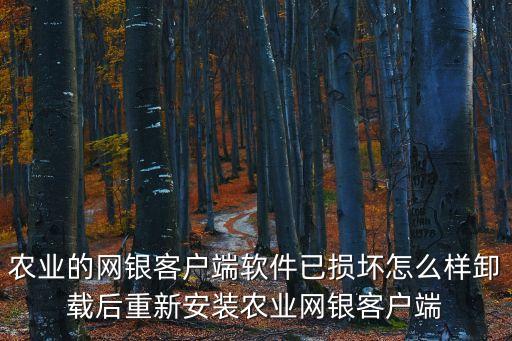 農業的網銀客戶端軟件已損壞怎么樣卸載后重新安裝農業網銀客戶端