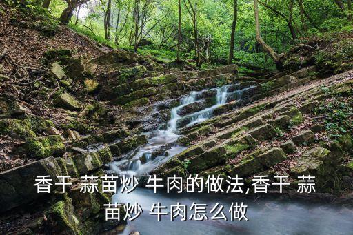 香干 蒜苗炒 牛肉的做法,香干 蒜苗炒 牛肉怎么做