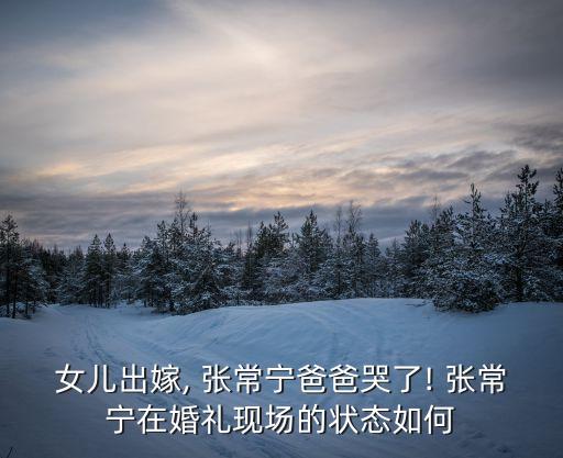 張常寧張晨,張常寧27歲成為中國女排成功背后人物