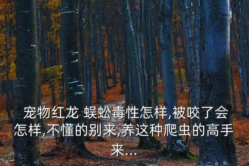  寵物紅龍 蜈蚣毒性怎樣,被咬了會(huì)怎樣,不懂的別來,養(yǎng)這種爬蟲的高手來...
