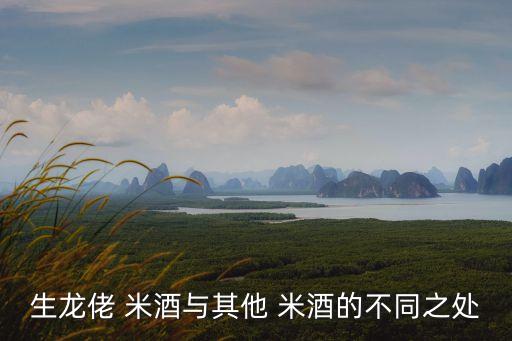 佬米酒,圣龍牌guy米酒獲農博會金獎