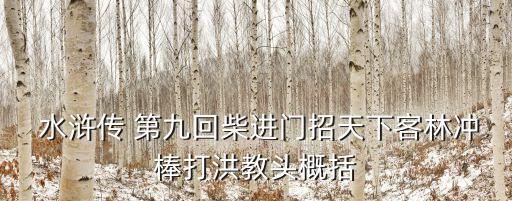  水滸傳 第九回柴進門招天下客林沖棒打洪教頭概括