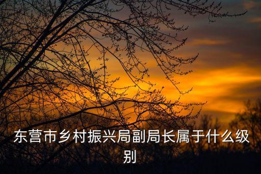 東營市人民政府網(wǎng),山東勝利職業(yè)學(xué)院主管部門:山東省；
