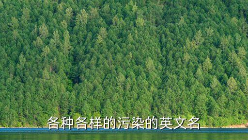 各種各樣的污染的英文名