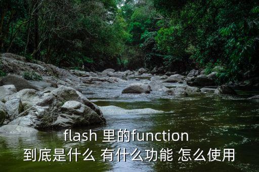 flash 里的function 到底是什么 有什么功能 怎么使用