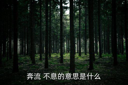 奔流 不息的意思是什么