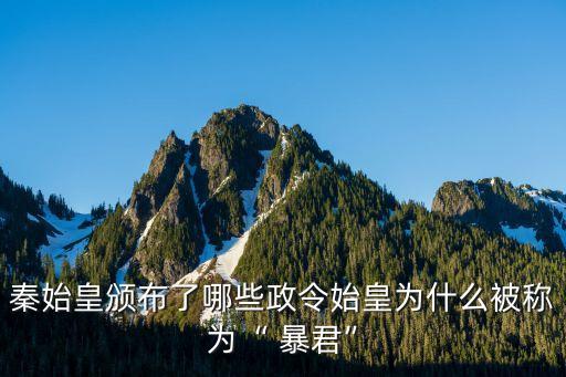暴君,暴君案例列表:砍頭切肺剖腹取胎看是男是女