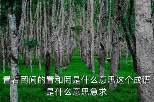 置若罔聞的置和罔是什么意思這個成語是什么意思急求