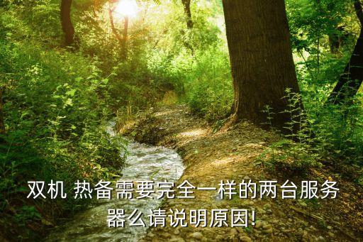  雙機 熱備需要完全一樣的兩臺服務器么請說明原因!