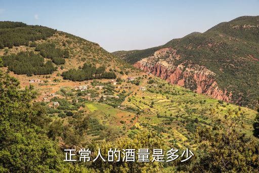 正常人的酒量是多少