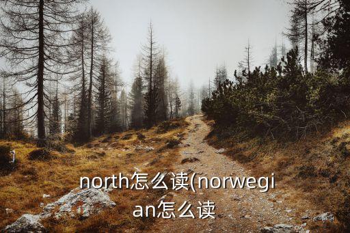  north怎么讀(norwegian怎么讀