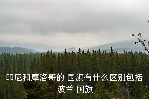 印尼和摩洛哥的 國旗有什么區別包括 波蘭 國旗