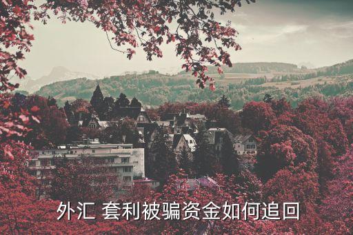  外匯 套利被騙資金如何追回