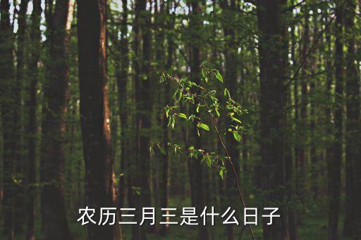 農歷三月三，農歷三月三是什么節日