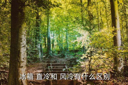 風冷冰箱與直冷冰箱的區別,冷柜和冰箱各有優點冰箱為直冷冰冷