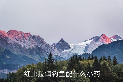  紅蟲拉餌釣魚配什么小藥