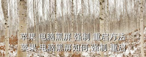 蘋果電腦強制重啟,如何處理蘋果電腦死機問題?一文看懂