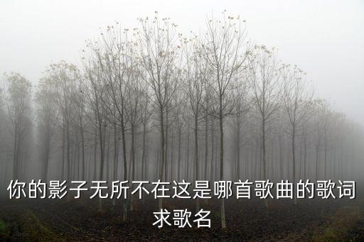 你的影子無所不在這是哪首歌曲的歌詞求歌名