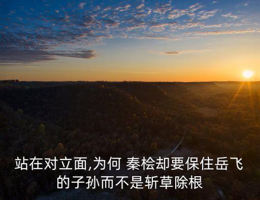 站在對(duì)立面,為何 秦檜卻要保住岳飛的子孫而不是斬草除根