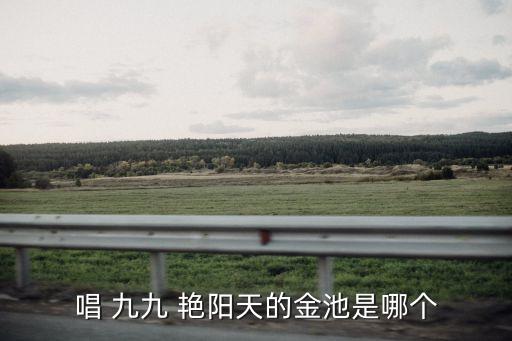 廣場舞九九艷陽天,中國古代把夏至和冬至分為九段命名一九