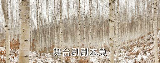 舞臺劇劇本急