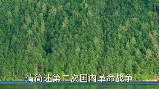 請(qǐng)簡(jiǎn)述第二次國(guó)內(nèi)革命戰(zhàn)爭(zhēng)