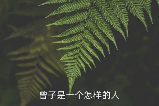 曾子簡介，曾子是一個怎樣的人