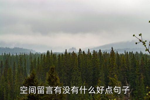 空間留言有沒(méi)有什么好點(diǎn)句子