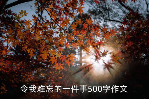 令我難忘的一件事500字作文