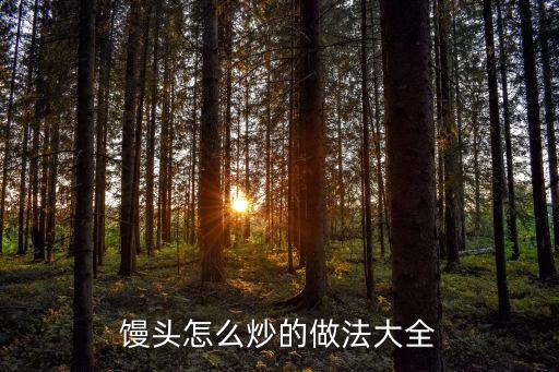 炒饅頭，饅頭怎么炒的做法大全
