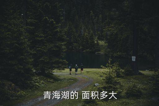  青海湖的 面積多大
