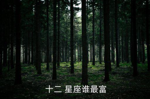  十二 星座誰(shuí)最富