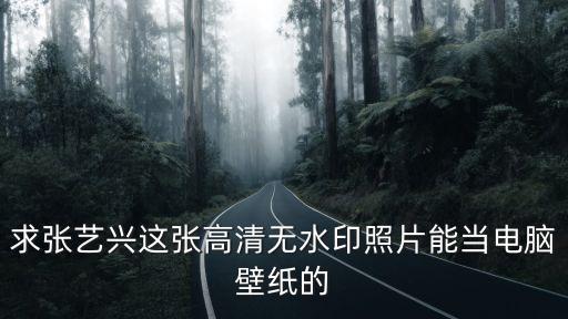 張藝興電腦壁紙，怎樣更改外觀