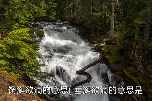 饞涎欲滴的意思( 垂涎欲滴的意思是