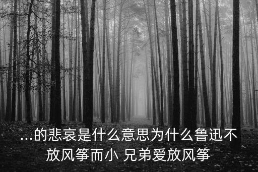 ...的悲哀是什么意思為什么魯迅不放風箏而小 兄弟愛放風箏