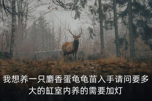我想養一只麝香蛋龜龜苗入手請問要多大的缸室內養的需要加燈