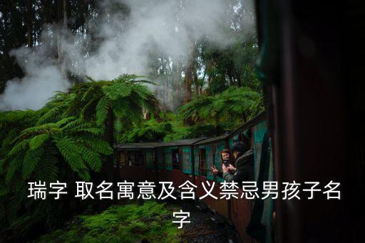  瑞字 取名寓意及含義禁忌男孩子名字