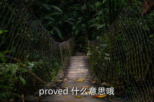 proved 什么意思哦