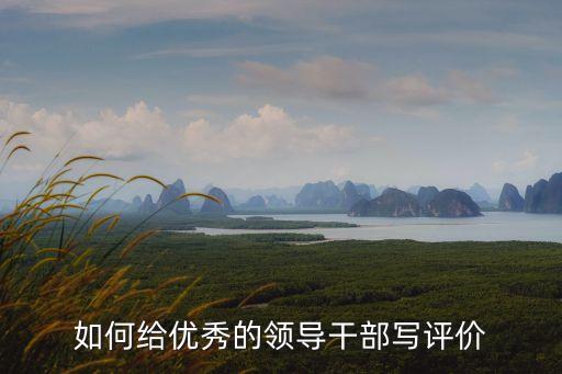 對領導干部的評價，如何給優(yōu)秀的領導干部寫評價