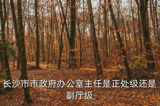 長沙市市政府辦公室主任是正處級還是副廳級