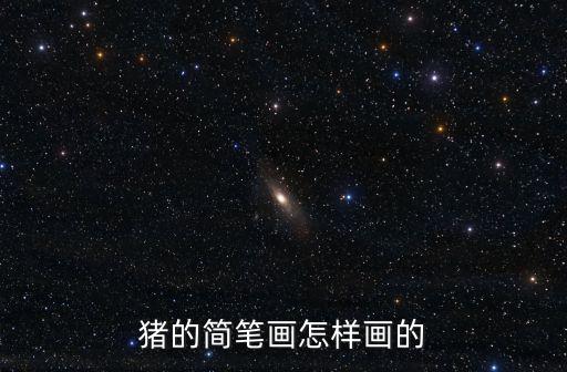 豬的簡筆畫怎樣畫的