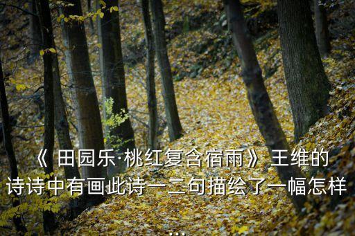 田園樂王維,王維隱居藍田川隱退詩作背景