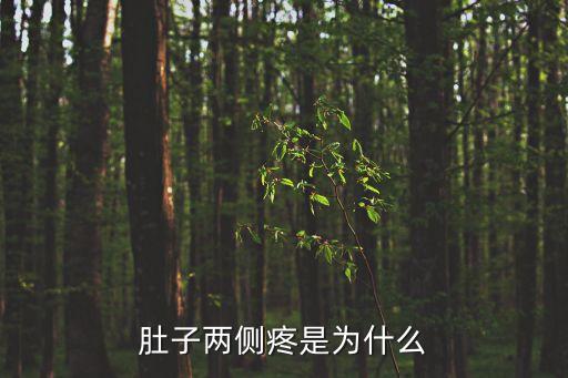 肚子兩邊疼，肚子兩邊疼痛是什么引起的